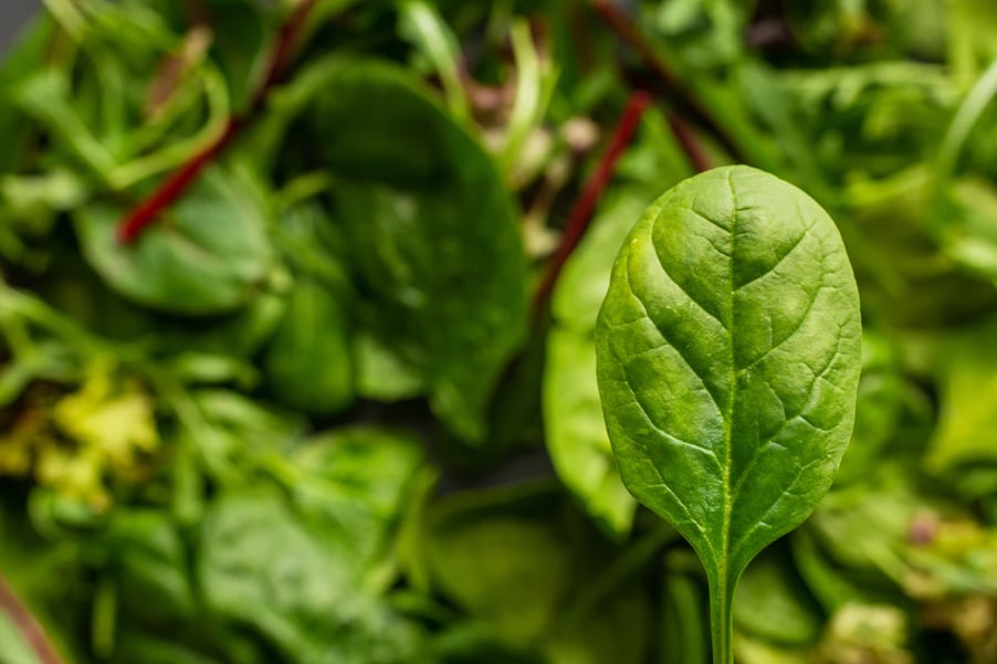 spinach